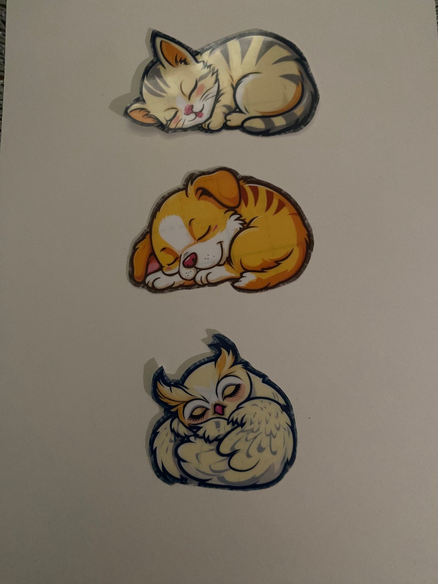 Sleeping Animal Sticker